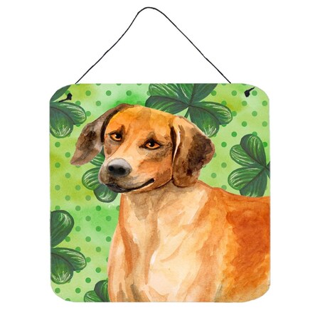Carolines Treasures Rhodesian Ridgeback St Patricks Wall or Door Hanging Prints BB9850DS66